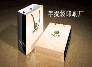 今年兩會(huì)上印刷廠巨頭的建議